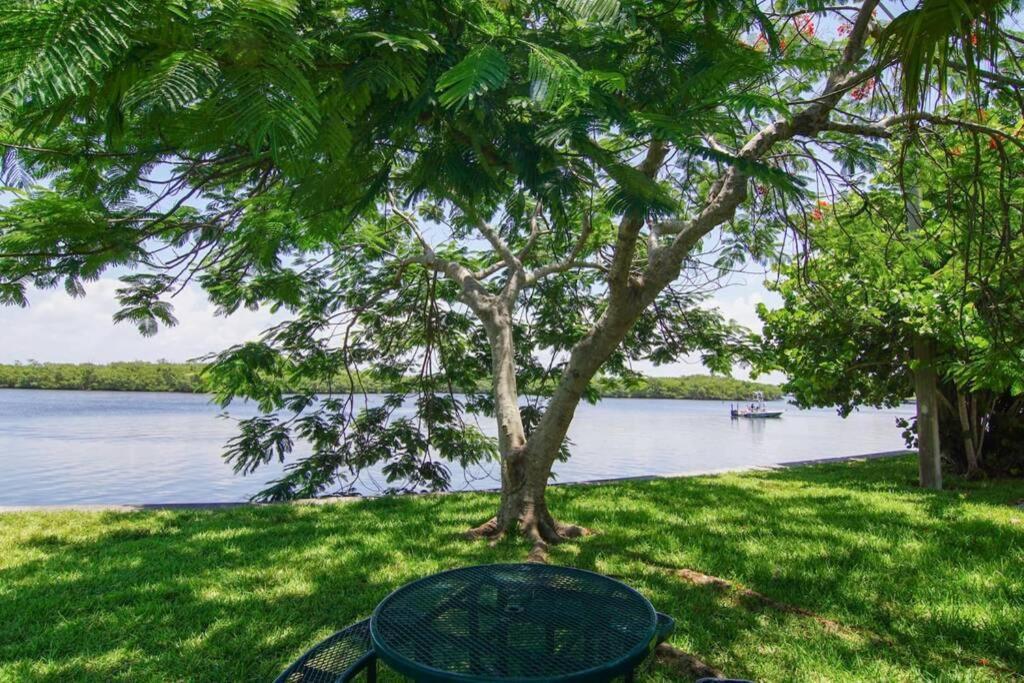 River Delight,Studio109, Beach & Pool Steps Away + Wifi รัสกิน ภายนอก รูปภาพ